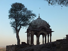 jodhpur (303)